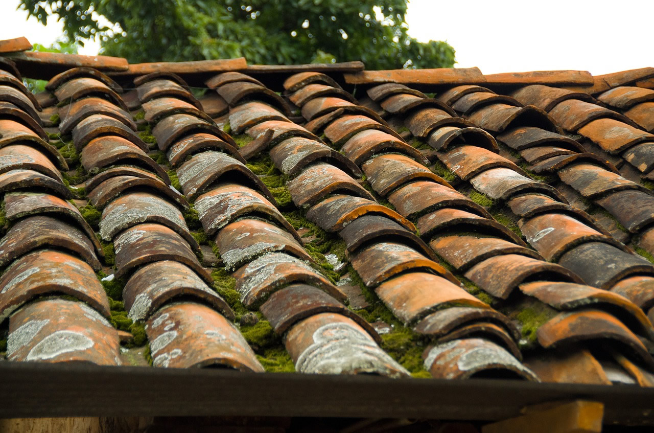 Entreprise de lavage de toiture dans le Vaucluse